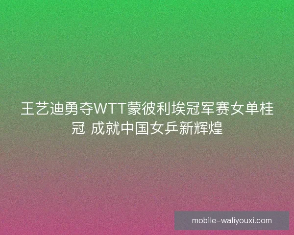 王艺迪勇夺WTT蒙彼利埃冠军赛女单桂冠 成就中国女乒新辉煌 王艺迪勇夺WTT蒙彼利埃冠军赛女单桂冠 成就中国女乒新辉煌