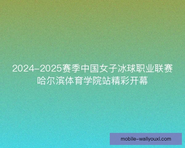 2024-2025赛季中国女子冰球职业联赛哈尔滨体育学院站精彩开幕