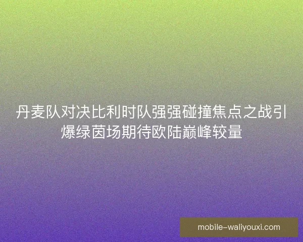 丹麦队对决比利时队强强碰撞焦点之战引爆绿茵场期待欧陆巅峰较量