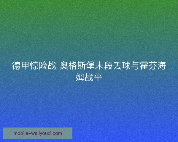 德甲惊险战 奥格斯堡末段丢球与霍芬海姆战平 德甲惊险战 奥格斯堡末段丢球与霍芬海姆战平